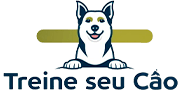 Treine seu cão